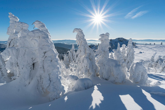 Winterlandschaft
