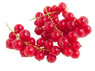 clusters of currants berries
