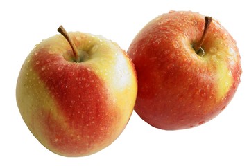 multicolor  fruits fromm all over the world