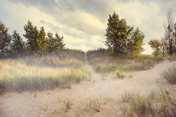 Beach dune path with morning fog