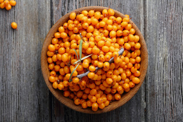Fresh useful seabuckthorn