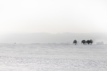 Silhouette of man and child walking in snow towards trees. Minimalistic photo with lots of copy space. - 134234300