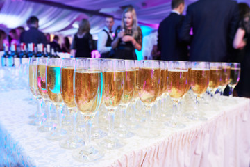 glasses with white sparkling wine in row at restaurant event - obrazy, fototapety, plakaty
