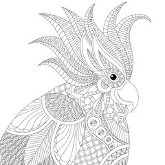 Exotic tropical zentangle cockatoo parrot for adult anti stress