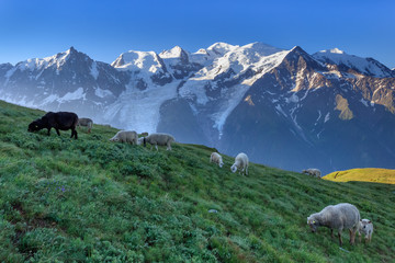 Mont Blanc, France