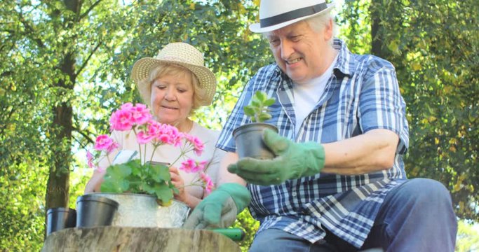 Senior couple gardening together in garden