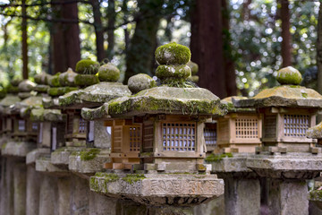 Rows of ancient stone and wooden lanterns Toro covered in moss in Nara