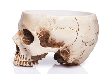 cup of a human skull