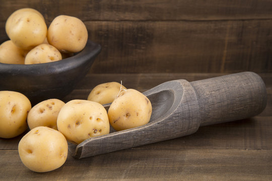 Yellow potato (Solanum phureja)