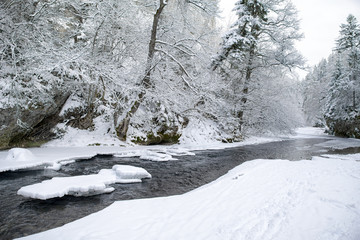 Frozen river in winter forest