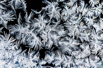crystal white frost pattern on a  morning glass