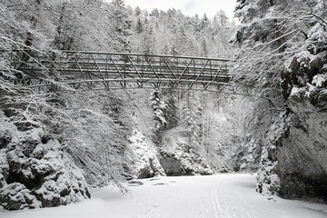 Empty bridge over frozen river in forest