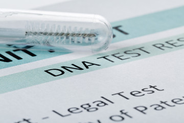 Paternity test result form with buccal swab in test tube