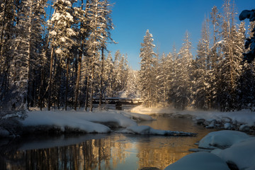 Snow covered forest in winter with a wood bridge