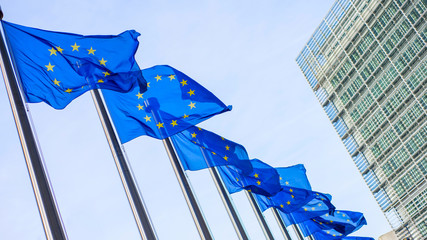 European Union flags in front of the Berlaymont building
