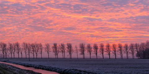 Sunset at the Dutch polder in wintertime
