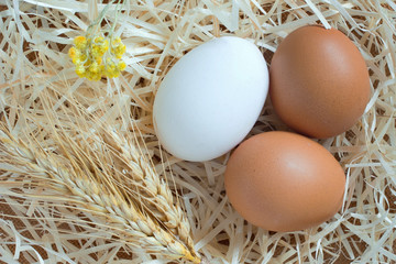 Two yellow eggs and one white egg, wheat and yellow flowers are