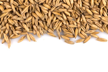 natural oat grains background, closeup
