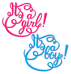Its a girl, boy lettering. Baby shower vector invitation