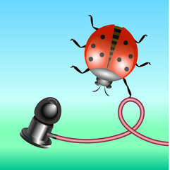 Headphone and ladybird