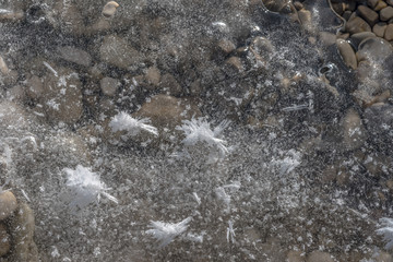 Feine Weiße Eisblumen auf einer Eisfläche am Fluss