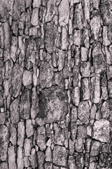old rock background