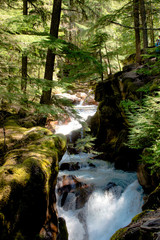 Obraz premium Mini waterfall