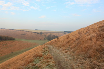 Frosted grasses above a scenic valley in an English winter landscape
