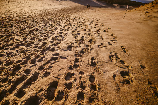 Beautiful view of sandy Grey (Dead) Dunes at the Curonian Spit in Neringa, Lithuania