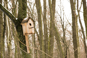 Birdhouse in the forest