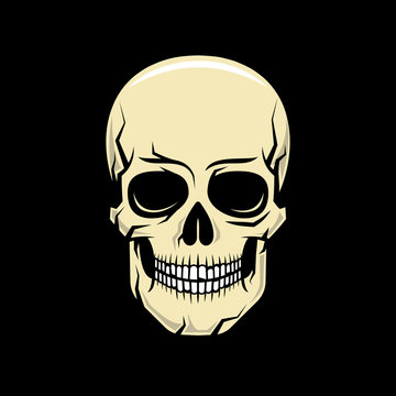 Colorful cartoon realistic skull on a black background. Vector illustration.