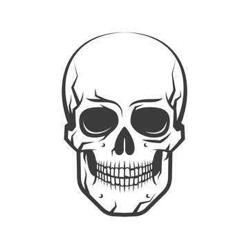 Cute, simple and realistic human skull - a tattoo on a white background. Vector illustration.