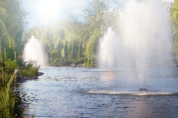 Summer city park with fountains in lake. Mezhyhirya in Novi Petrivtsi, Ukraine