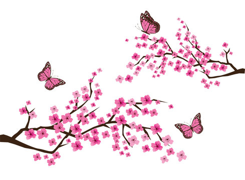 Vector Cherry Blossom