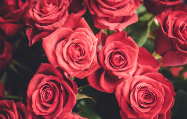 Red roses bouquet
