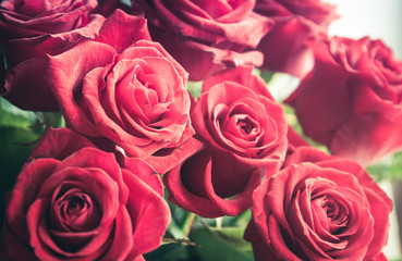 Fototapeta na wymiar Red roses bouquet
