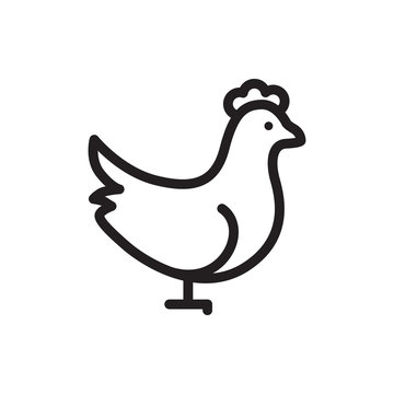 chicken icon illustration