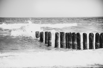 Polish sea of breakwaters and sand dunes.