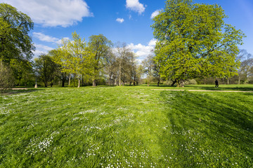 Frühling