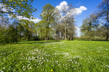 Frühling