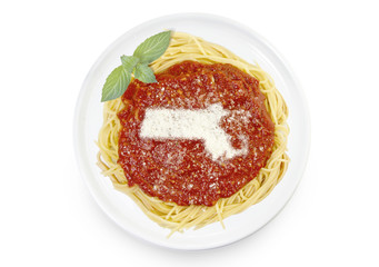Dish of pasta with parmesan cheese shaped as Massachusetts.(seri