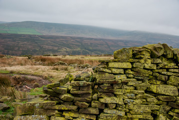 The brick in the wall. Peak District National Park. UK © DawidDobosz