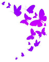 Naklejka na ściany i meble beautiful butterfly, on a white