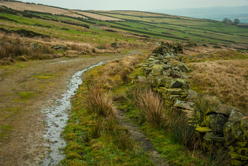 The meadow in Peak District National Park, UK © DawidDobosz