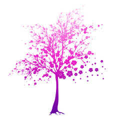 Obraz premium piękne różowe kwiaty