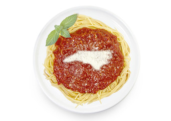Dish of pasta with parmesan cheese shaped as North Carolina.(ser