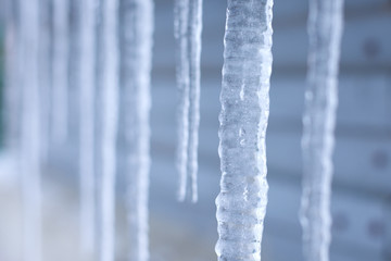 Winter background of icicles