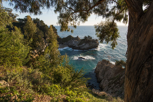McWay Falls with Trees in the Foreground in Julia Pfeiffer Burns State Park, California © SGUOPHOTOGRAPHY
