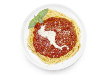 Dish of pasta with parmesan cheese shaped as Central America.(se