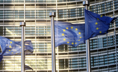 Flags of European Union - obrazy, fototapety, plakaty